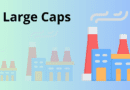 7 características sobre Large Caps