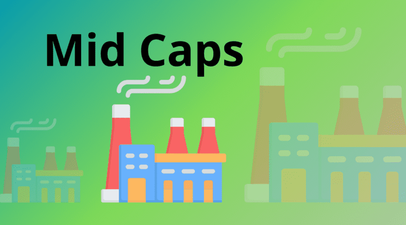 O que são Mid Caps? Venha descobrir as 7 características sobre as Mid Caps e se é uma boa ideia ter ativos em empresas desses porte.