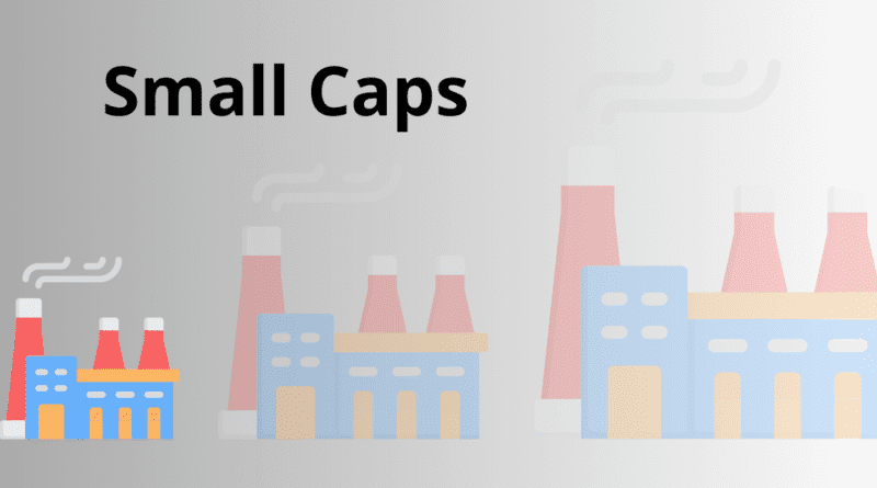 7 características sobre Small Caps