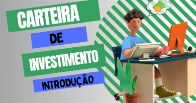 Carteira de investimento – Introdução